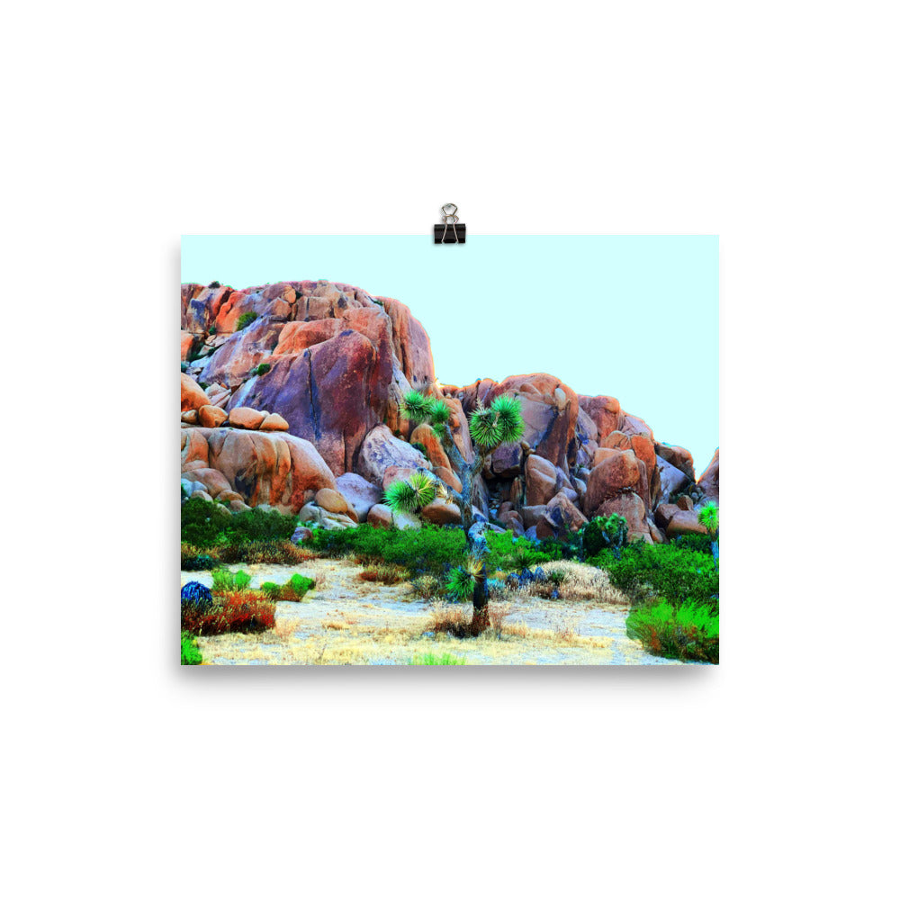 Joshua Tree Day Trip