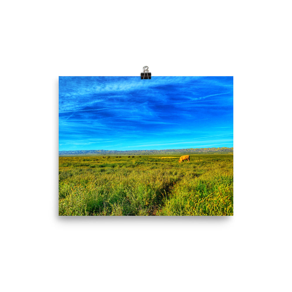 Carrizo Plains National Park