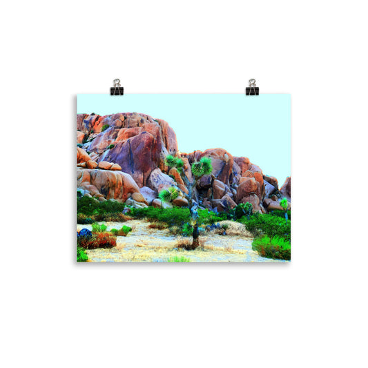 Joshua Tree Day Trip
