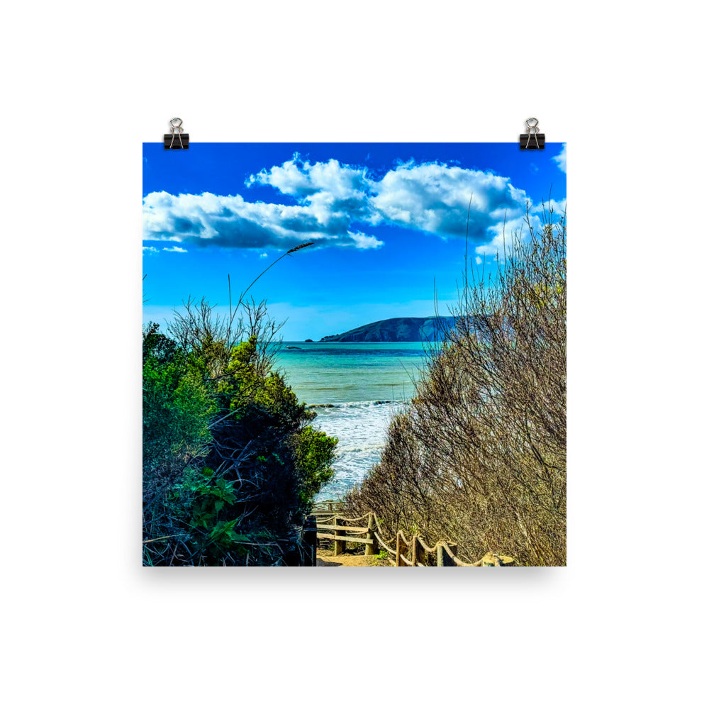 At Peace in Shell Beach