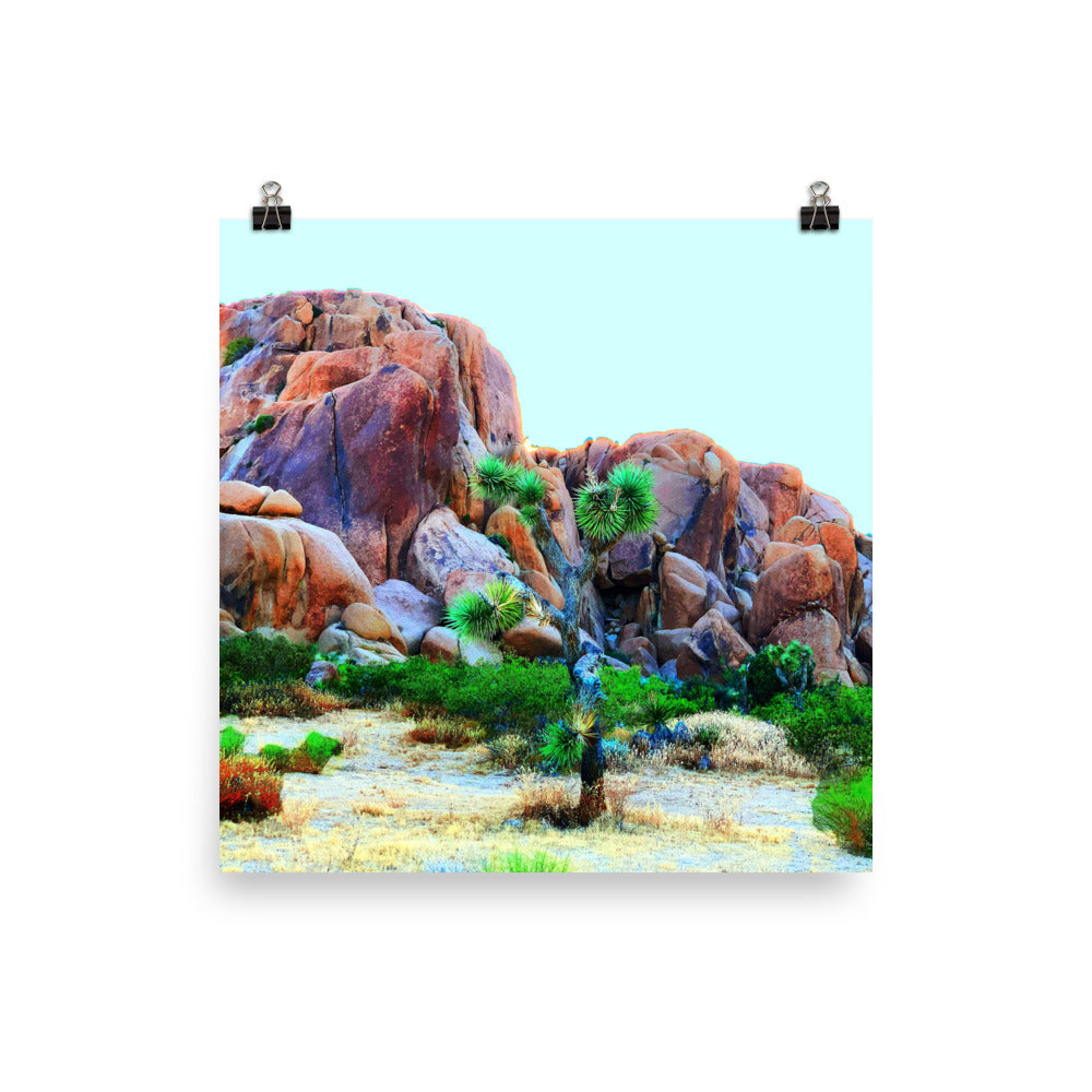 Joshua Tree Day Trip