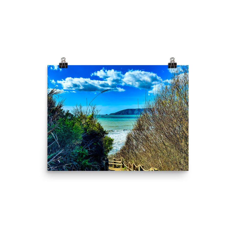 At Peace in Shell Beach