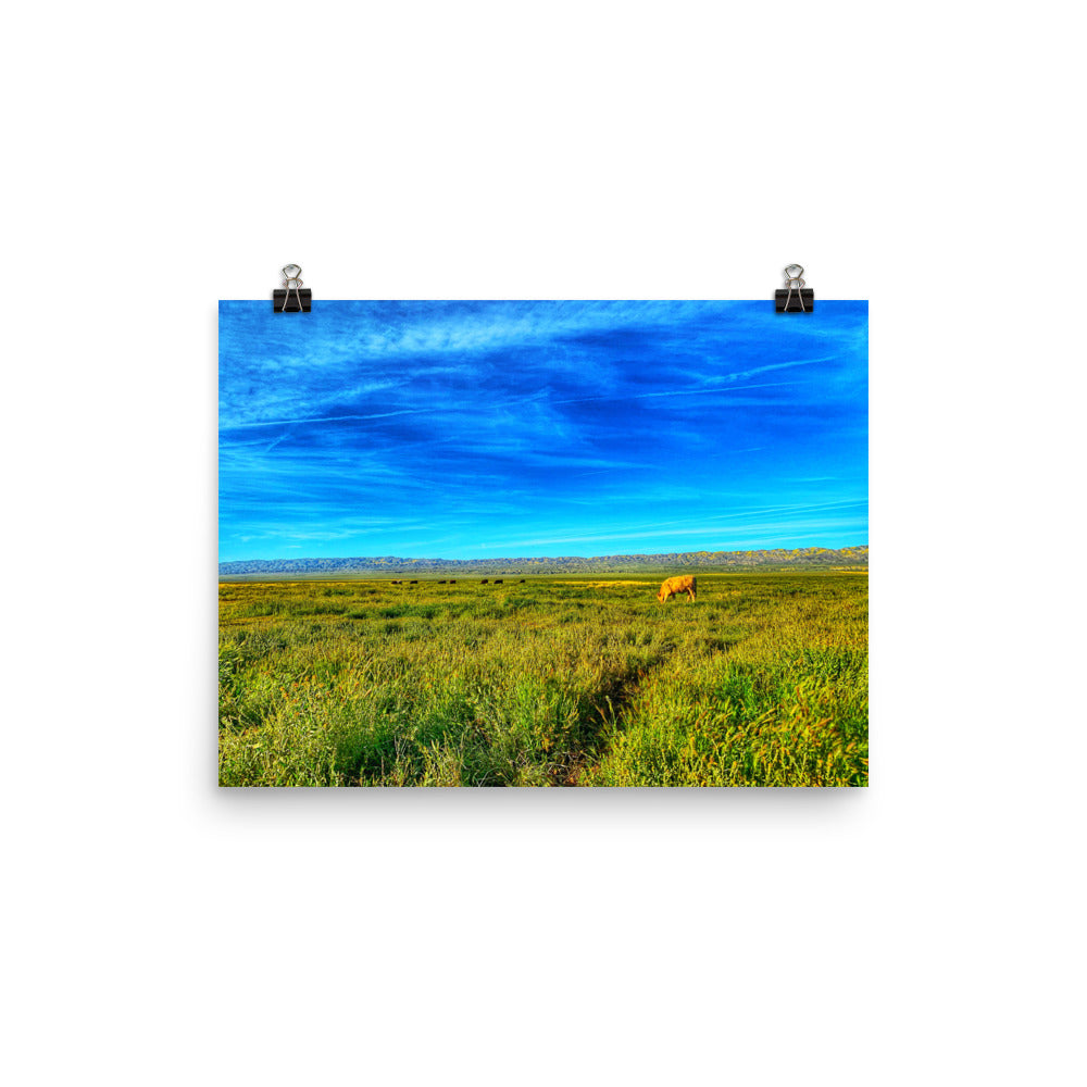 Carrizo Plains National Park