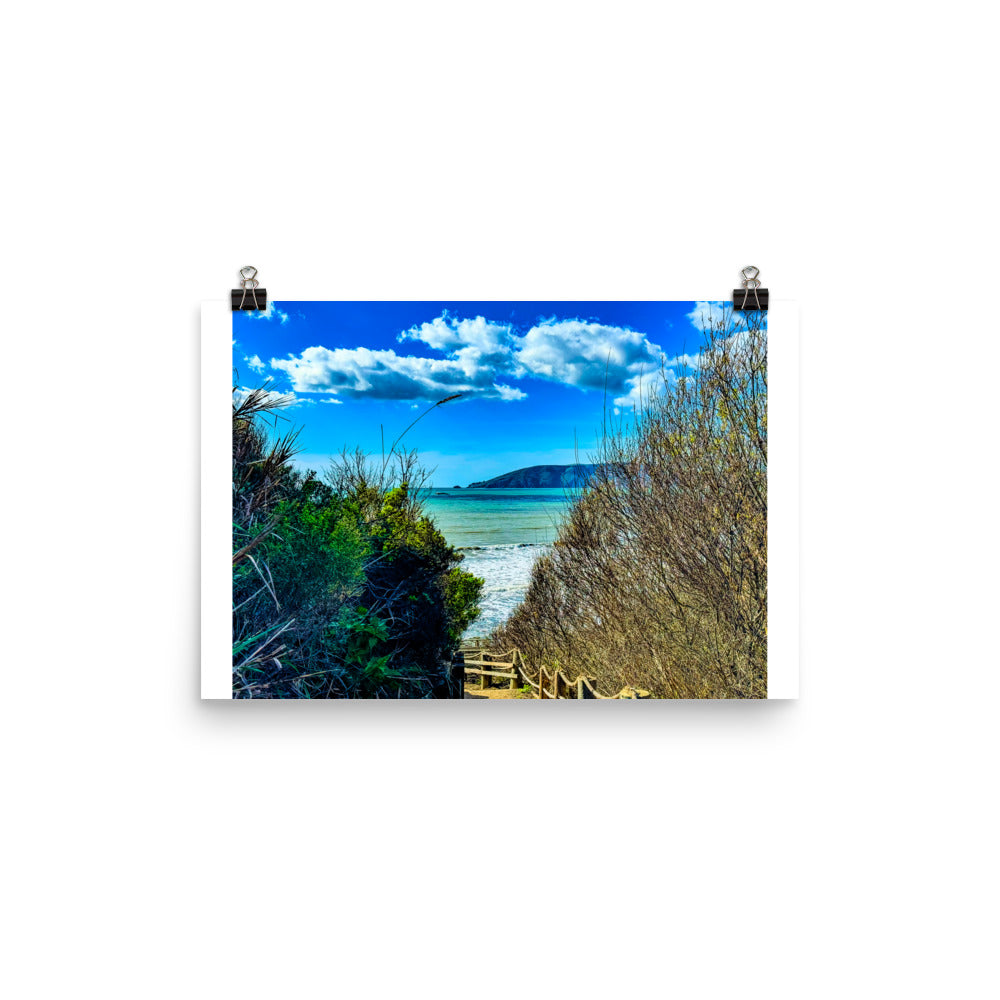 At Peace in Shell Beach