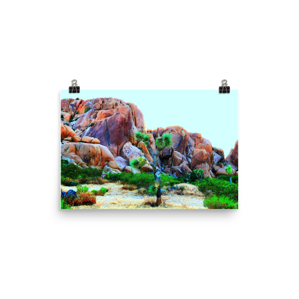 Joshua Tree Day Trip