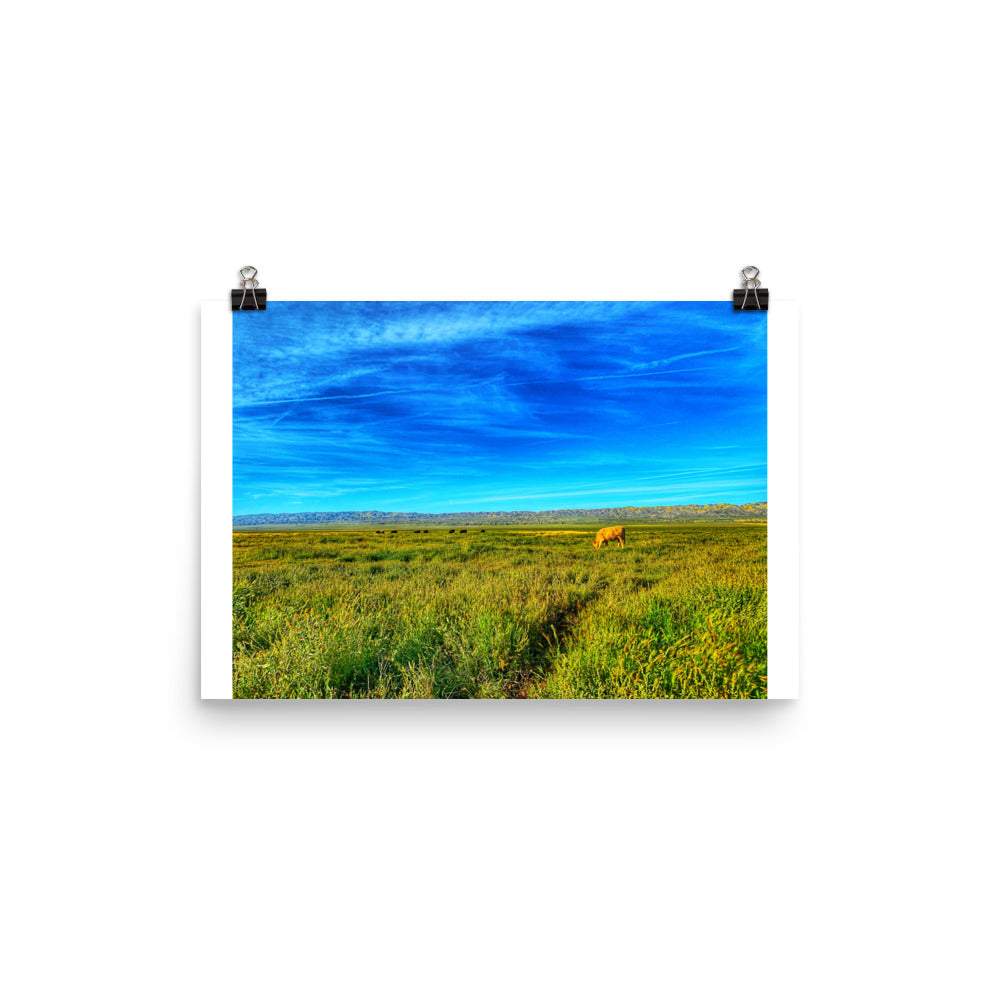 Carrizo Plains National Park