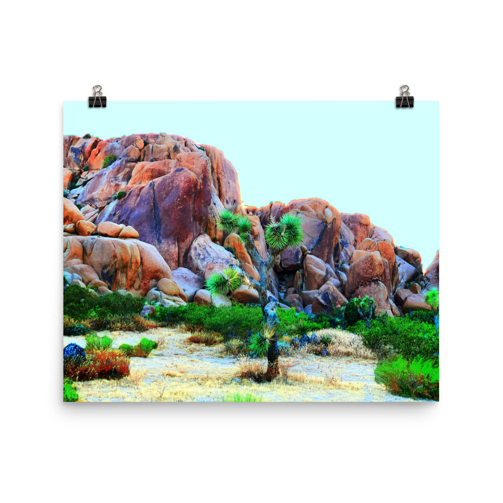 Joshua Tree Day Trip