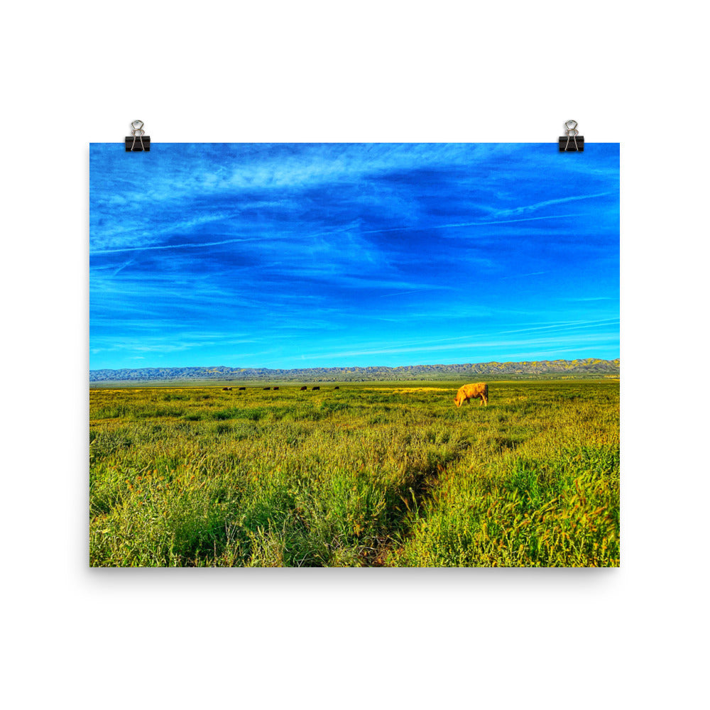 Carrizo Plains National Park
