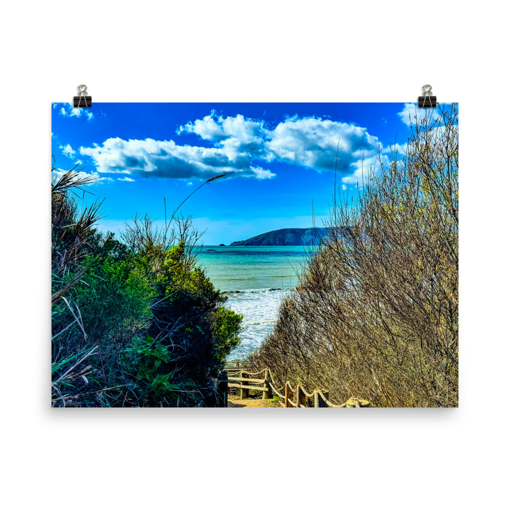 At Peace in Shell Beach