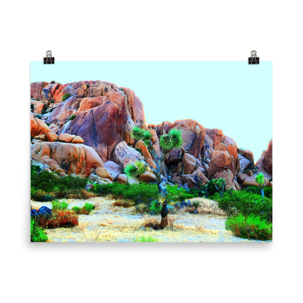 Joshua Tree Day Trip