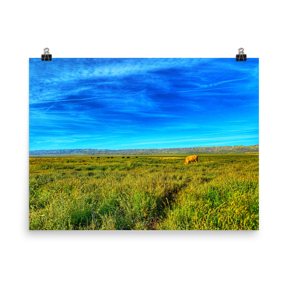 Carrizo Plains National Park