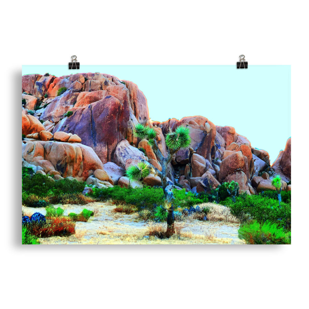 Joshua Tree Day Trip