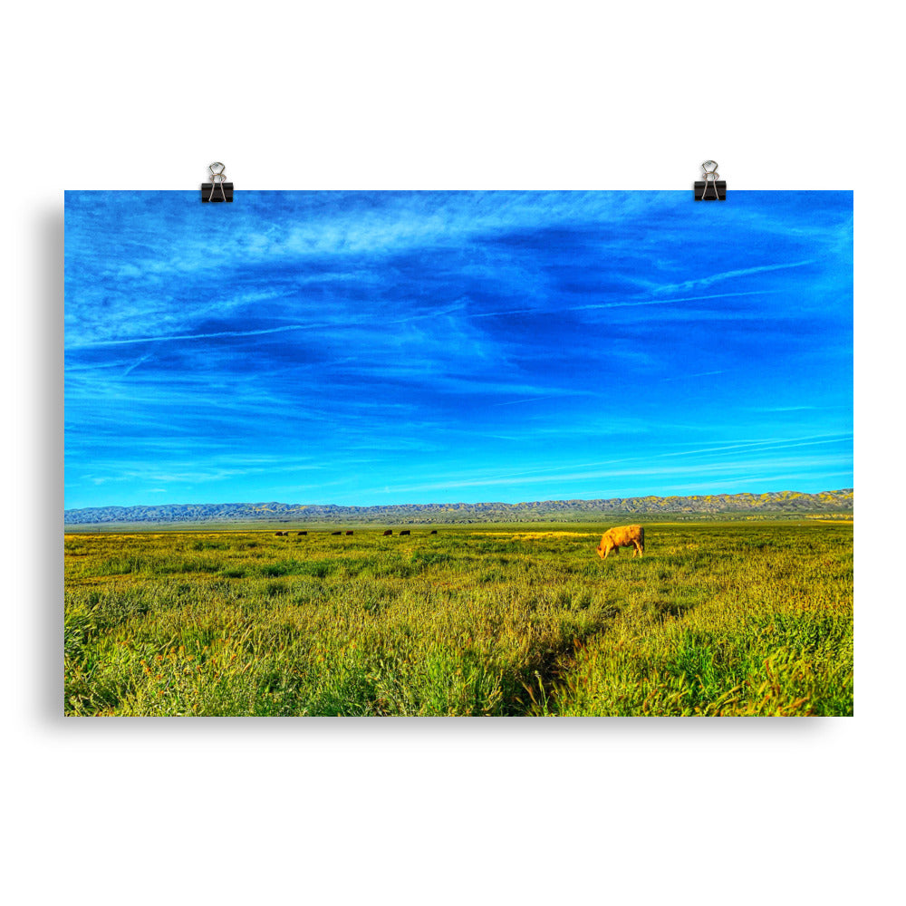 Carrizo Plains National Park