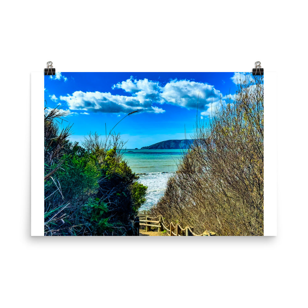 At Peace in Shell Beach