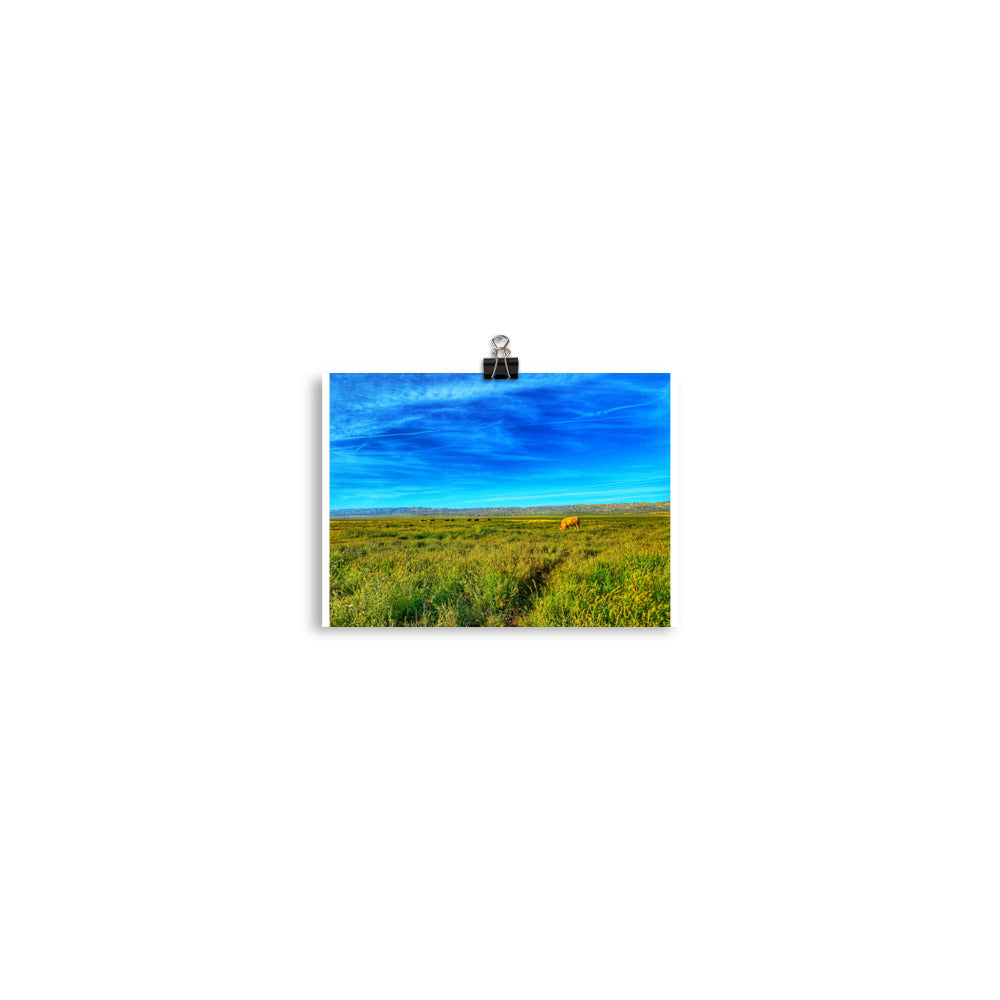 Carrizo Plains National Park