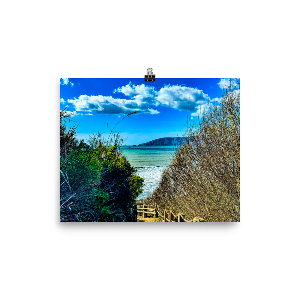 At Peace in Shell Beach